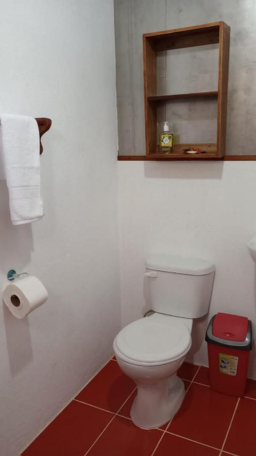 ホテル Container House カウイータ エクステリア 写真