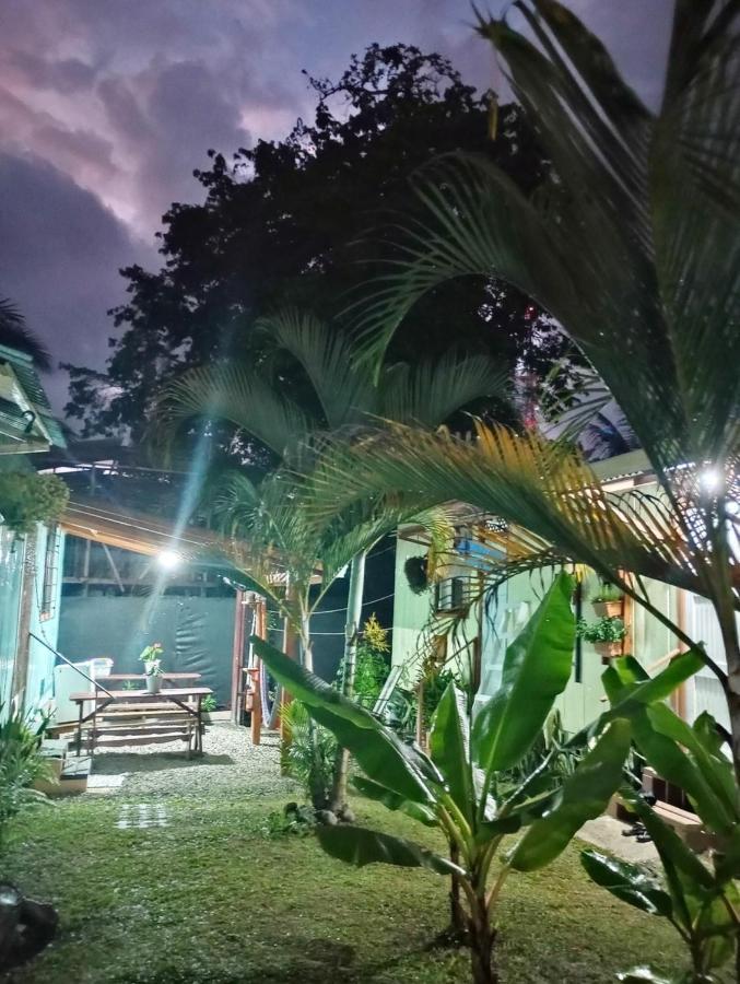ホテル Container House カウイータ エクステリア 写真